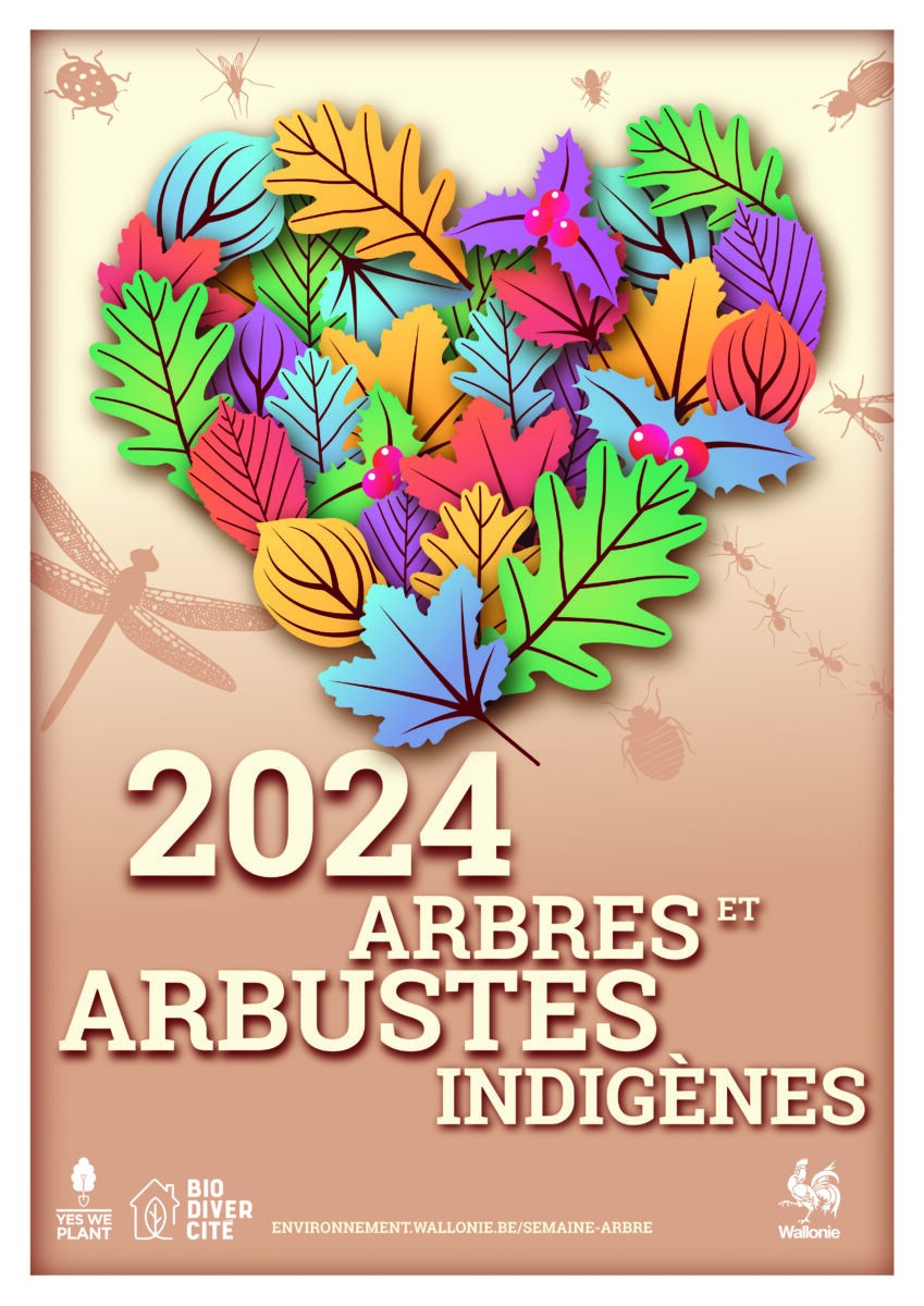 affiche arbres2024